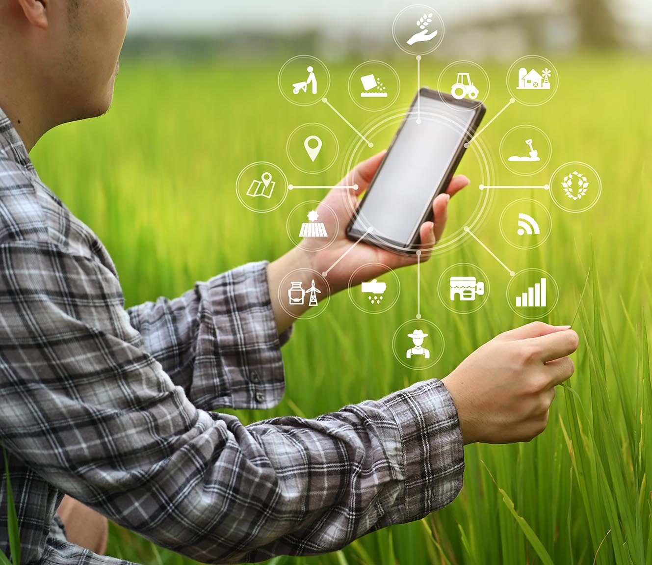 This image for Image Layouts addon